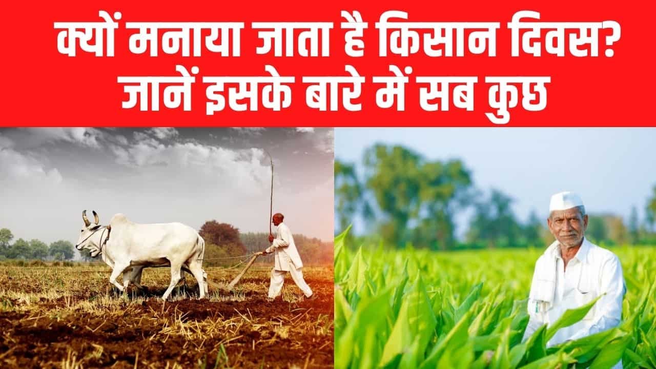 Kisan Diwas: क्यों मनाया जाता है किसान दिवस? जानें इसके बारे में सब कुछ (National Farmer Day Poem, Quotes, Theme 2023)